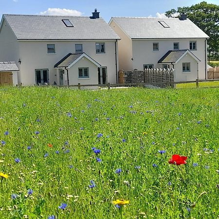 Brecon Beacons Cottage With Stunning Country Views Myddfai 外观 照片