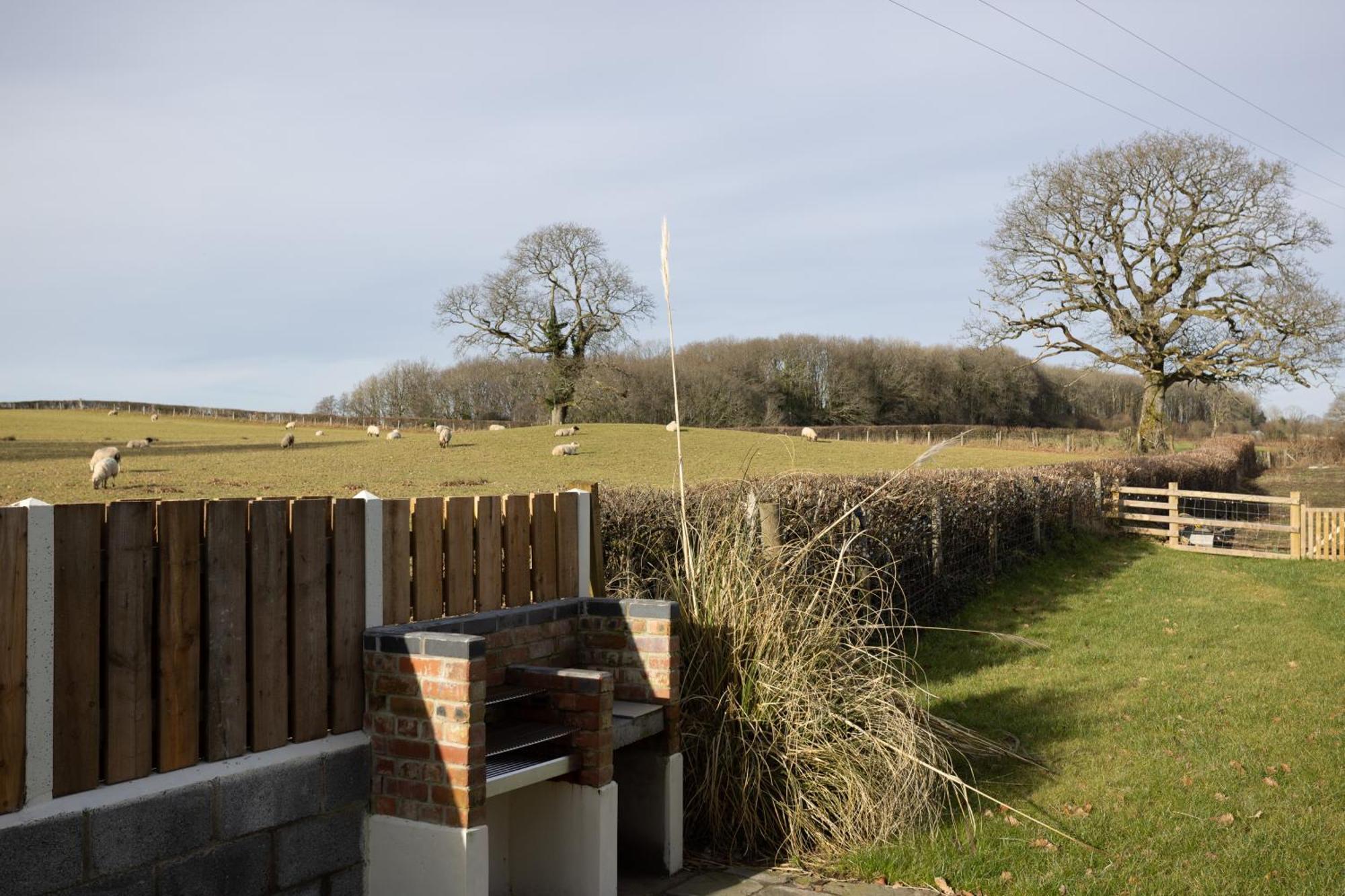 Brecon Beacons Cottage With Stunning Country Views Myddfai 外观 照片