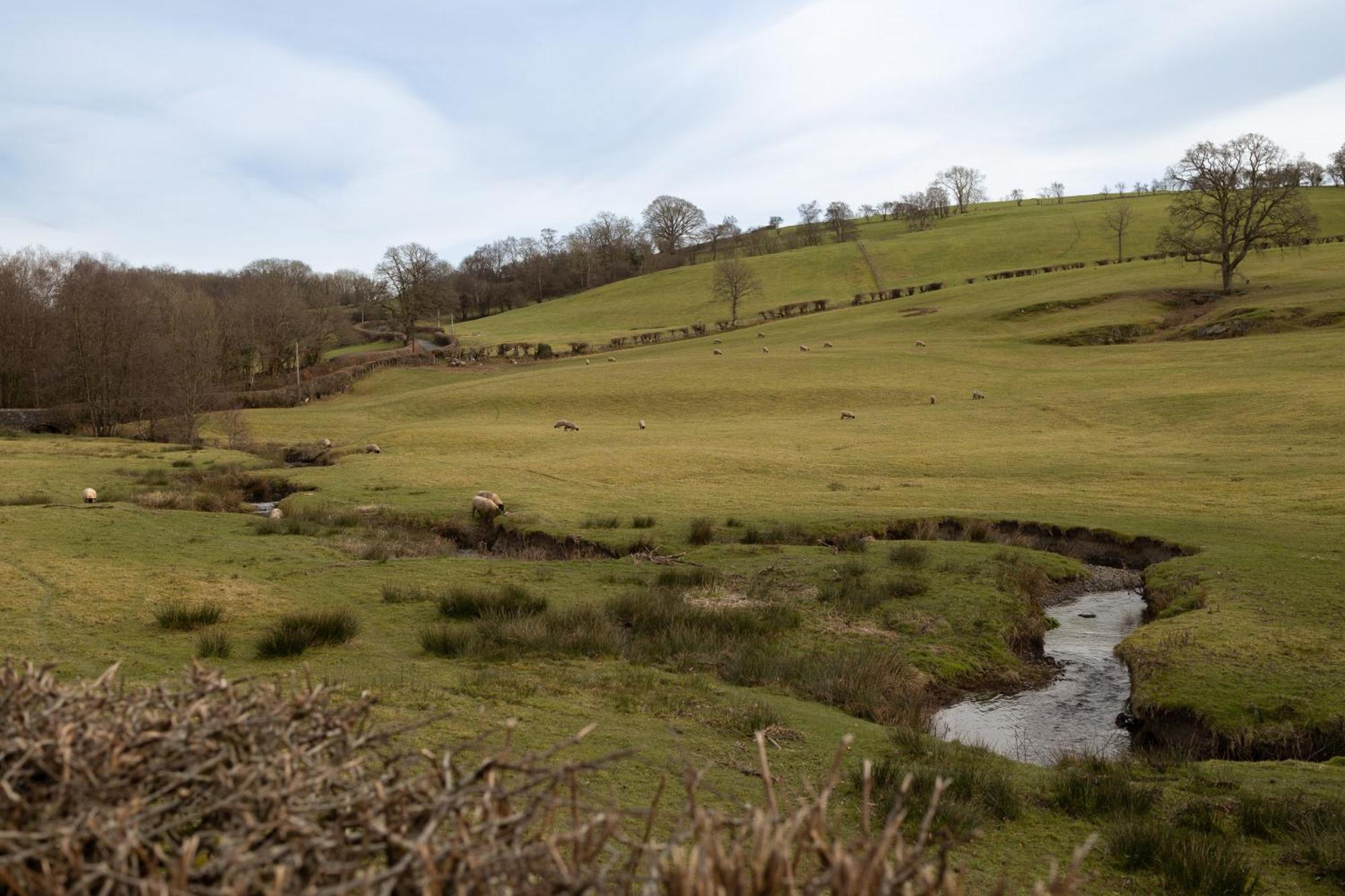 Brecon Beacons Cottage With Stunning Country Views Myddfai 外观 照片