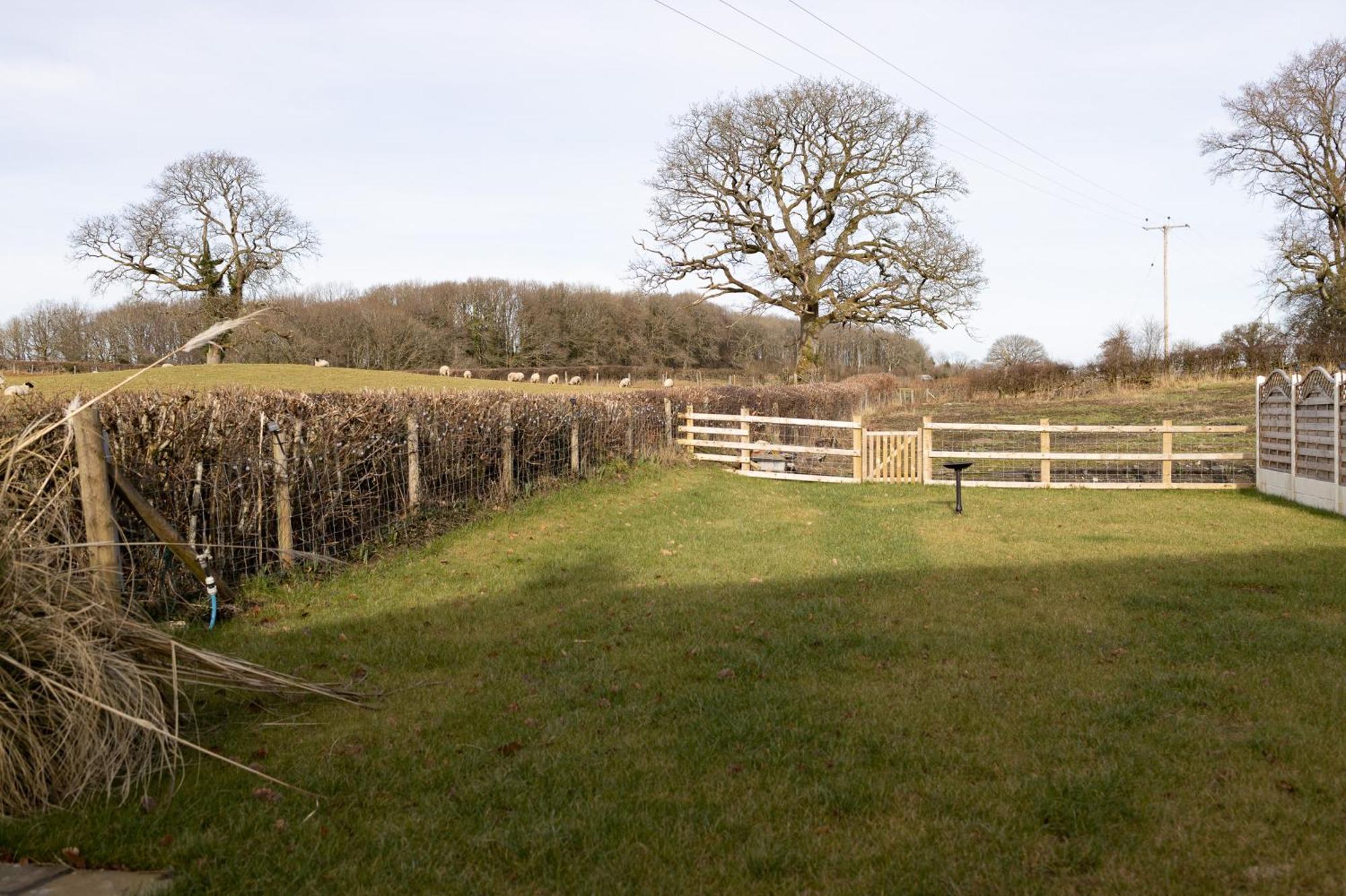 Brecon Beacons Cottage With Stunning Country Views Myddfai 外观 照片